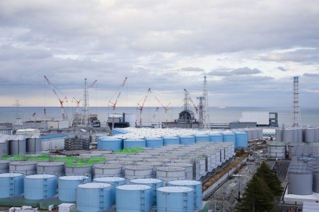 关于东电将试验用福岛核污水养鱼的信息